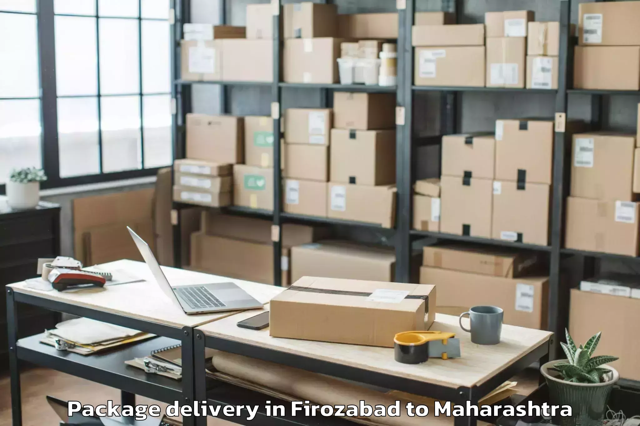 Professional Firozabad to Pauni Package Delivery